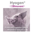 HYOGEN LANZAMIENTO
