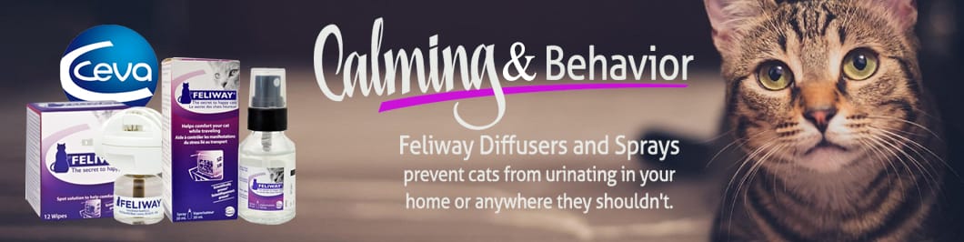 Cats Companion Animals Products Ceva South Africa