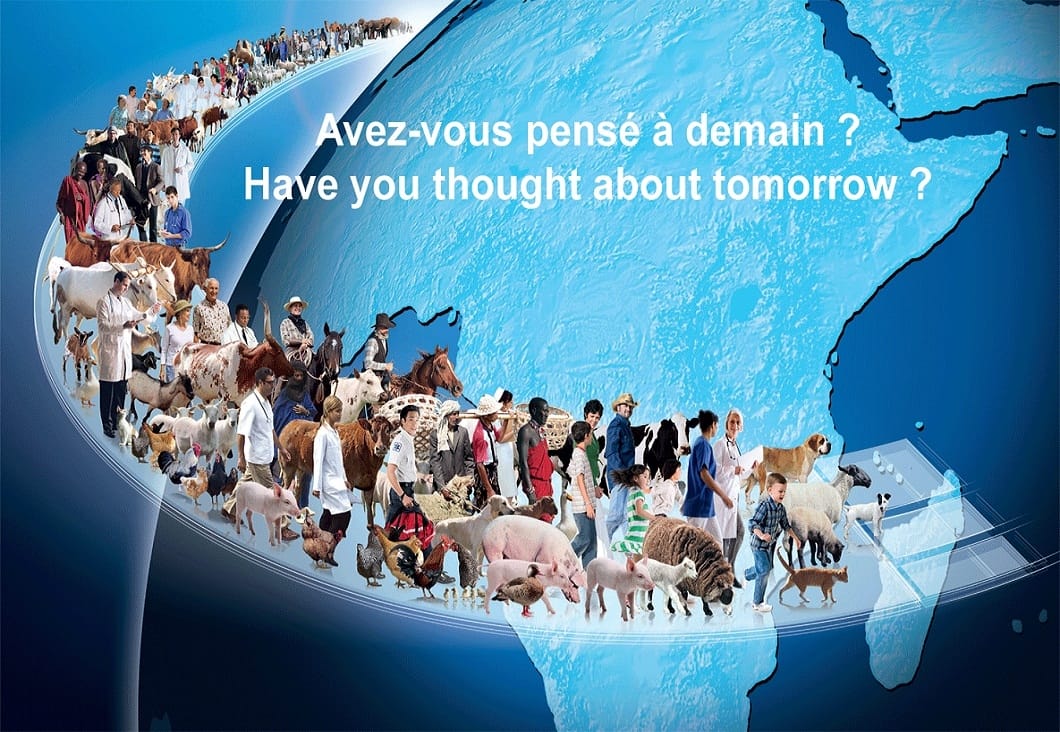 ceva intertropical africa regional website