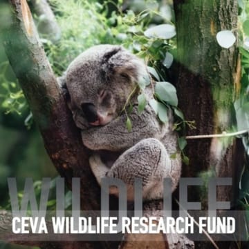 Ceva Wildlife Research Fund