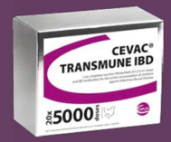 CEVAC® TRANSMUNE IBD