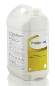 Pracetam Vet (Paracetamol)