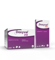 DOXYVAL® 20