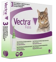 VECTRA® Felis / Producten / Ceva Netherlands