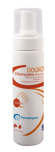 chlorhexidine mousse dogs