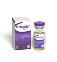 Meloxidyl 5 Mg Ml Solution Injectable Pour Chiens Et Chats Liste Des Produits Ema Anses Anmv Produits Services Ceva France