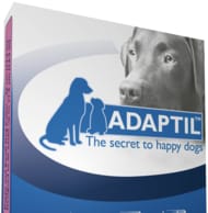 ADAPTIL™ / Products list / Products / Ceva Malaysia