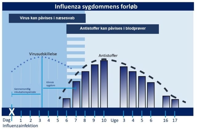 Influenza hos grise forløb af virus og antistoffer