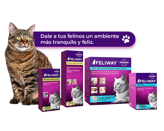feliway}