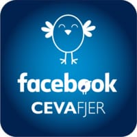 Få tips og tricks om fjerkræproduktion i Facebookgruppen Ceva Fjer