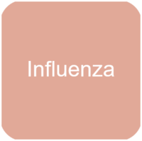 Influenza hos grise_Ceva