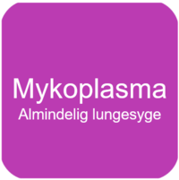 Mykoplasma almindelig lungesyge hos grise_Ceva