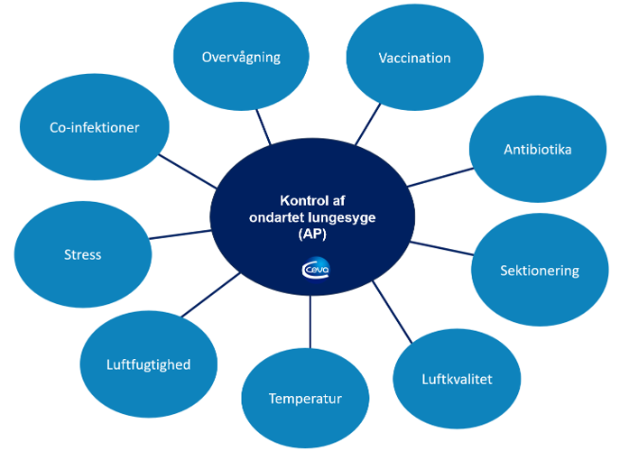 parametre vigtige for kontrol af AP ondartet lungesyge