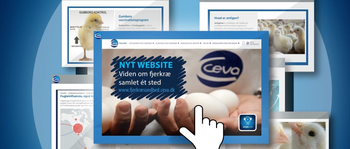 NYT fjerkræ website med masser af faglig viden_Ceva