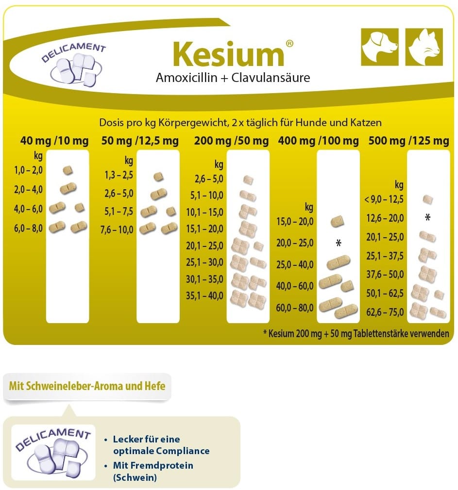 Kesium® / Produkte für / Produkte Ceva