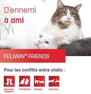 CEVA FELIWAY Friends, Recharge pour diffuseur pour chat